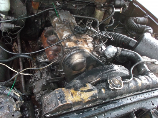 ขาย TOYOTA  ม้ากระโดด