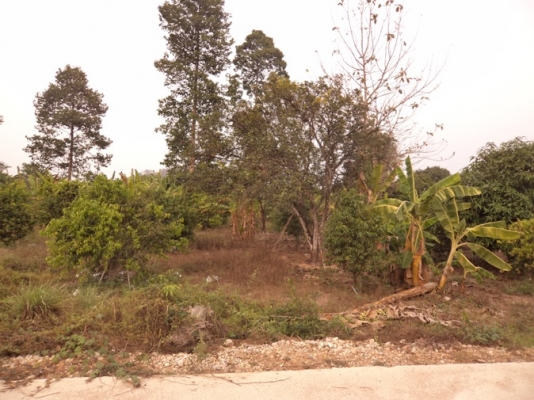 ขายที่ดินโฉนด 3 ไร่ เศษมีไม้ผลในที่แล้วทางเข้าเป็นถนนคอนกรีต