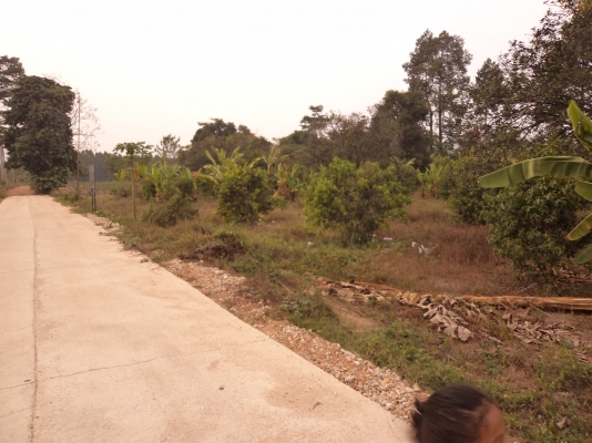 ขายที่ดินโฉนด 3 ไร่ เศษมีไม้ผลในที่แล้วทางเข้าเป็นถนนคอนกรีต