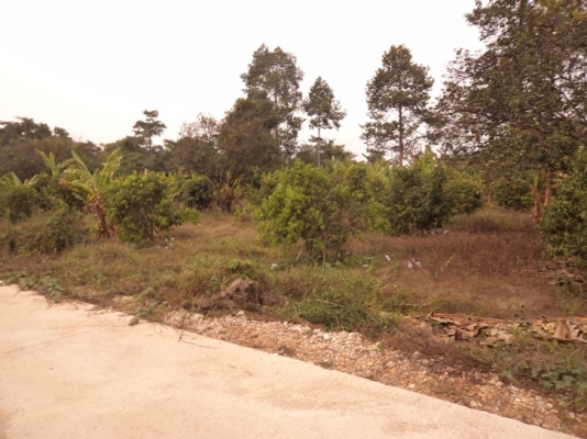 ขายที่ดินโฉนด 3 ไร่ เศษมีไม้ผลในที่แล้วทางเข้าเป็นถนนคอนกรีต