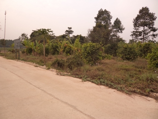 ขายที่ดินโฉนด 3 ไร่ เศษมีไม้ผลในที่แล้วทางเข้าเป็นถนนคอนกรีต