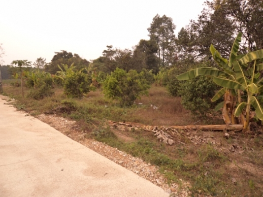 ขายที่ดินโฉนด 3 ไร่ เศษมีไม้ผลในที่แล้วทางเข้าเป็นถนนคอนกรีต