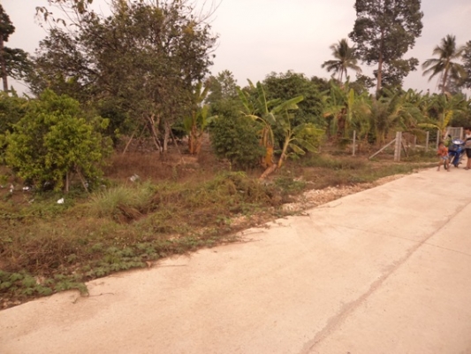 ขายที่ดินโฉนด 3 ไร่ เศษมีไม้ผลในที่แล้วทางเข้าเป็นถนนคอนกรีต