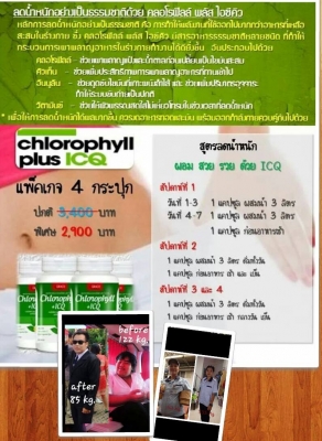 คลอโรฟิลล์ พลัส ICQ คลอโรฟิลล์ พลัส ICQ