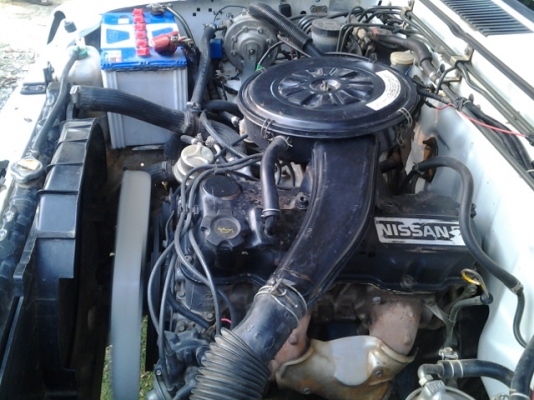 นิสสันบิ๊กเอ็มสภาพดีครับมีแก็สด้วยครับ เครื่องแน่นๆ ขาย 109000 บาท