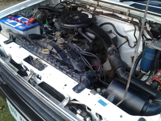 นิสสันบิ๊กเอ็มสภาพดีครับมีแก็สด้วยครับ เครื่องแน่นๆ ขาย 109000 บาท