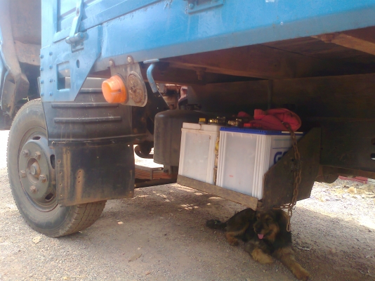 isuzu NPR115 ปี38 เครื่อง4BE1ยาว4.30พวงมลัยเพาเวอร์ isuzu NPR115 ปี38 เครื่อง4BE1ยาว4.30พวงมลัยเพาเวอร์