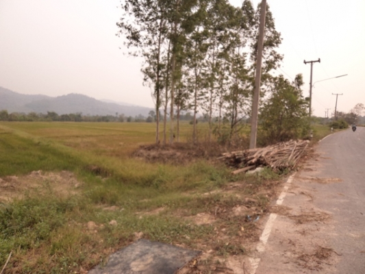 ขายที่ดินโฉนด 40-50 ไร่ ไร่ละ 430000 บาทแบ่งขายด้วยครับ