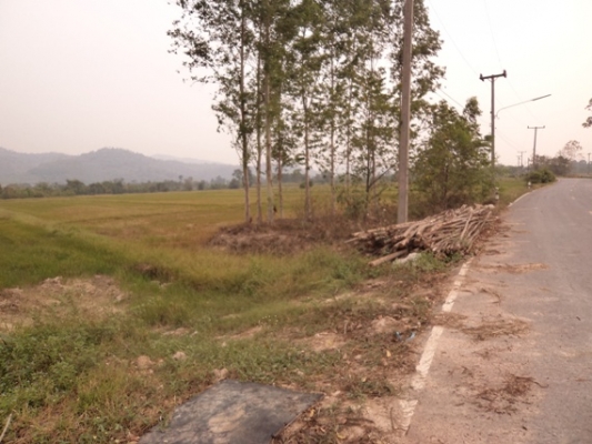 ขายที่ดินโฉนด 40-50 ไร่ ไร่ละ 430000 บาทแบ่งขายด้วยครับ