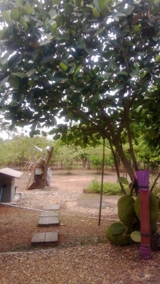 BAN ขอนอกเรื่องสักวัน ขายบ้านพร้อมที่ดินครับ ฉโนด 1ไร่ 1งาน 9ตารางวา บ้านพร้อมอยู่ครับ BAN ขอนอกเรื่องสักวัน ขายบ้านพร้อมที่ดินครับ ฉโนด 1ไร่ 1งาน 9ตารางวา บ้านพร้อมอยู่ครับ