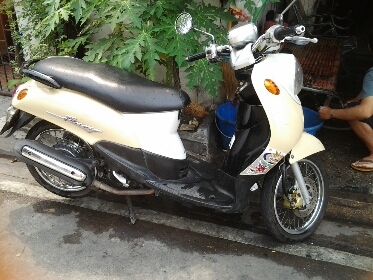 ฟีโน่ปี2549 ฟีโน่ปี2549