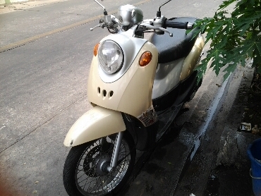 ฟีโน่ปี2549 ฟีโน่ปี2549