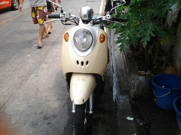 ฟีโน่ปี2549 ฟีโน่ปี2549