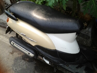 ฟีโน่ปี2549 ฟีโน่ปี2549