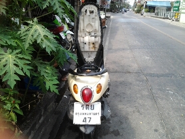 ฟีโน่ปี2549 ฟีโน่ปี2549