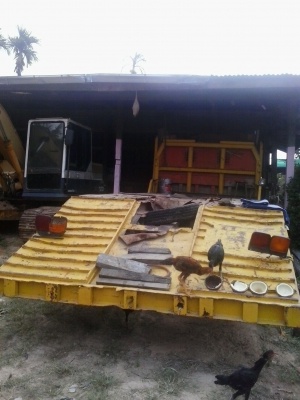 ขายเทเลอร์หัวยาว