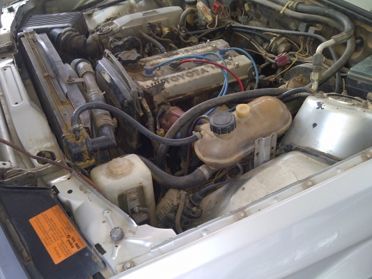 ขายรถเก๋ง