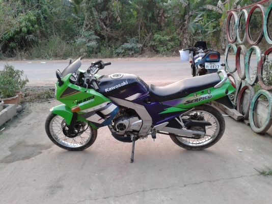 ขายSERPICO ราดีราคาถูก