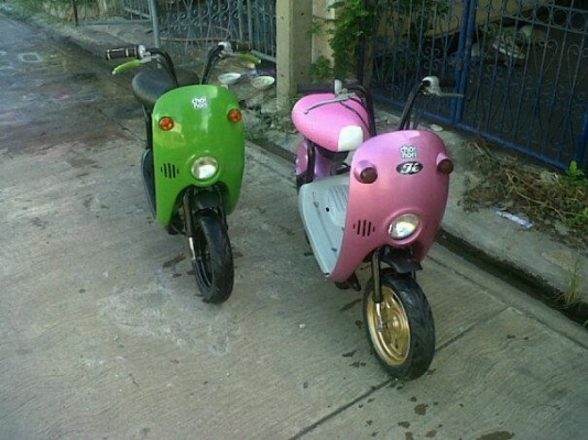 ขาย กระต่าน้อย โชอิ โนริ choi nori  ต้องการสีอะไรสั่งได้ มือ1ไทย  ราคา14,000  พร้อมทำสี