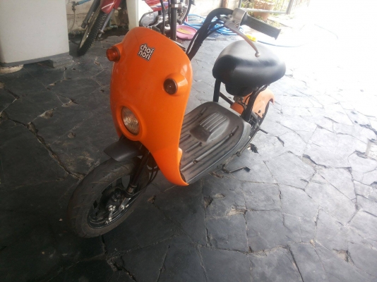 ขาย กระต่าน้อย โชอิ โนริ choi nori  ต้องการสีอะไรสั่งได้ มือ1ไทย  ราคา14,000  พร้อมทำสี