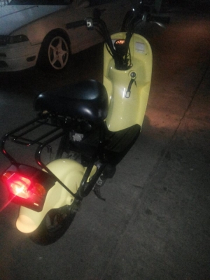 ขาย กระต่าน้อย โชอิ โนริ choi nori  ต้องการสีอะไรสั่งได้ มือ1ไทย  ราคา14,000  พร้อมทำสี