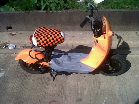 ขาย กระต่าน้อย โชอิ โนริ choi nori  ต้องการสีอะไรสั่งได้ มือ1ไทย  ราคา14,000  พร้อมทำสี