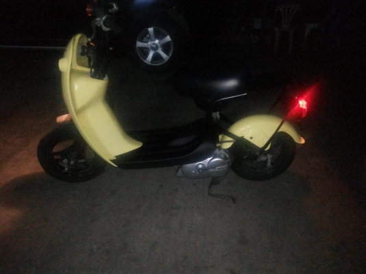 ขาย กระต่าน้อย โชอิ โนริ choi nori  ต้องการสีอะไรสั่งได้ มือ1ไทย  ราคา14,000  พร้อมทำสี