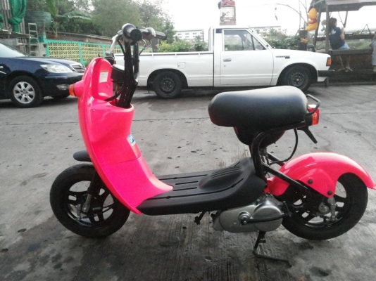 ขาย กระต่าน้อย โชอิ โนริ choi nori  ต้องการสีอะไรสั่งได้ มือ1ไทย  ราคา14,000  พร้อมทำสี