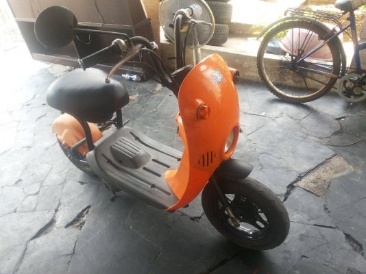 ขาย กระต่าน้อย โชอิ โนริ choi nori  ต้องการสีอะไรสั่งได้ มือ1ไทย  ราคา14,000  พร้อมทำสี