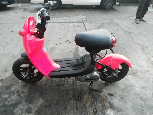 ขาย กระต่าน้อย โชอิ โนริ choi nori  ต้องการสีอะไรสั่งได้ มือ1ไทย  ราคา14,000  พร้อมทำสี