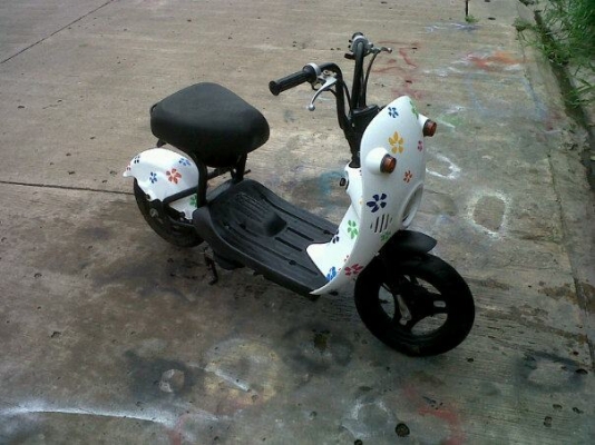 ขาย กระต่าน้อย โชอิ โนริ choi nori  ต้องการสีอะไรสั่งได้ มือ1ไทย  ราคา14,000  พร้อมทำสี