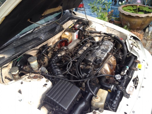 ขายครับ. Civic 4 dor ปี 95 42000 ขายตามสภาพน่ะครับอ่านให้เข้าใจ บอกหมดไม่มีหลอกลูกค้า เครื่องหัวฉีด เกียร mt. แกส LPG. ตัวท๊อปสุด. ไฟฟ้าทั้งคัน. แอรเย์็น สีพอได้ เครื่องนิ่ง ควันไม่ไหล. เครื่อง แห้งๆเลย เเต่น่าจะปะเก็นฝาสูบแตกทำให้รถไม่มีกำลังอัด ช่างบอกม