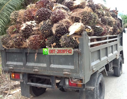 ขาย 4 ล้อ ดั้มพ์ขับเคลื่อนสี่ล้อ ไม่มีเอกสาร