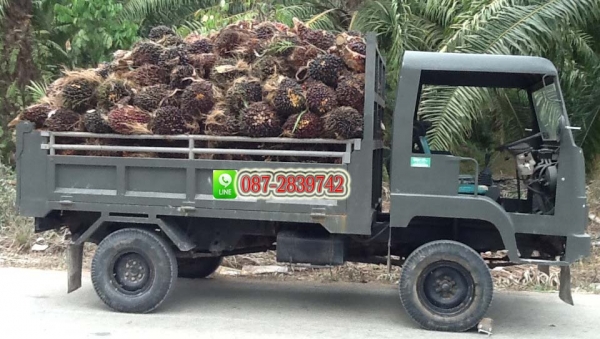 ขาย 4 ล้อ ดั้มพ์ขับเคลื่อนสี่ล้อ ไม่มีเอกสาร