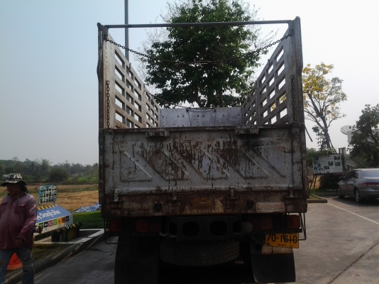 ขายด่วน ! กระบะองสามมิตรงามๆครับ ยาว 6.2 ม. (ทีมงานรถคุณภาพ) ขายด่วน ! กระบะองสามมิตรงามๆครับ ยาว 6.2 ม. (ทีมงานรถคุณภาพ)