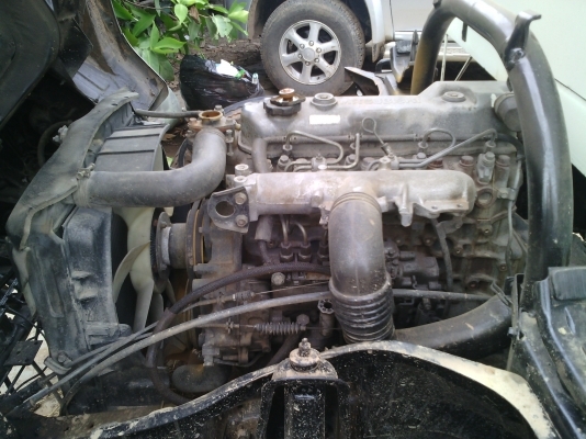 ขายมิตซู แคนเตอร์