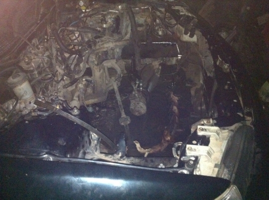 ขออนุญาติขาย HONDA CIVIC เตารีด เกียร์AUTO LPG สภาพพร้อมใช้มากคับทำมาไหม่หมด!