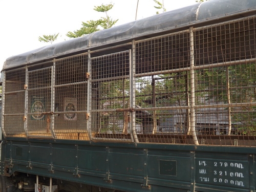 ขายกะบะ 6 ล้อ พร้อมหลังคา