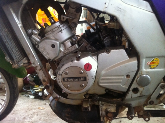 ขายSerpico ราคา 7800 บาท