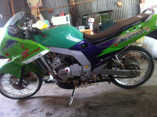 ขายSerpico ราคา 7800 บาท