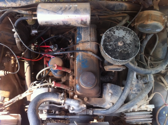 ขายช้างเหยียบ (no book)ราคา 25000 บาท ขายช้างเหยียบ (no book)ราคา 25000 บาท