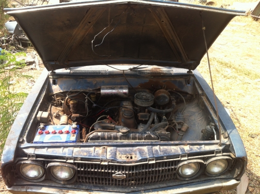 ขายช้างเหยียบ (no book)ราคา 25000 บาท ขายช้างเหยียบ (no book)ราคา 25000 บาท