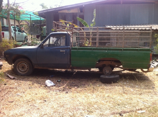 ขายช้างเหยียบ (no book)ราคา 25000 บาท ขายช้างเหยียบ (no book)ราคา 25000 บาท