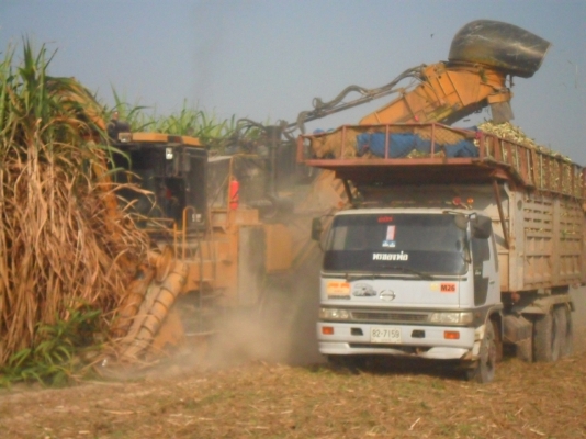 ขายรถตัดอ้อย CAMECO ปี97&amp;98 คันล่ะ 4,000,000 บาท