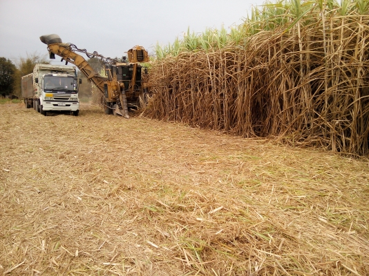 ขายรถตัดอ้อย CAMECO ปี97&amp;98 คันล่ะ 4,000,000 บาท