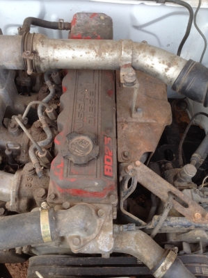 จำหน่ายรถยนต์ Nissan Big-M สีขาว จำหน่ายรถยนต์ Nissan Big-M สีขาว