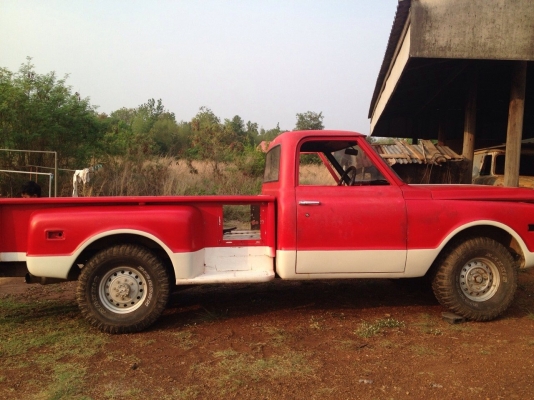 ขาย เชพโลเลต C/10