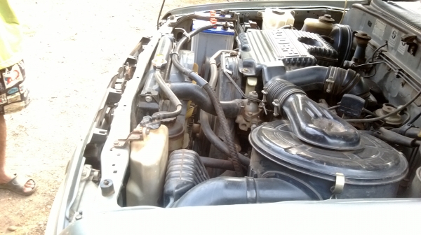 tiger ตอนเดียว