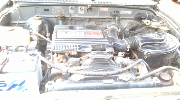 tiger ตอนเดียว