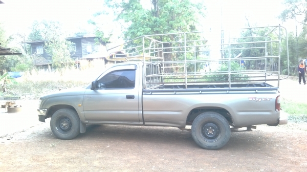 tiger ตอนเดียว